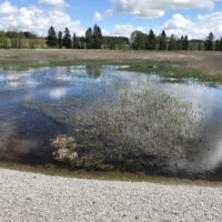 Das Aufstauen beginnt