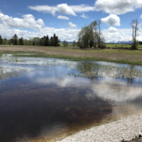 Das Aufstauen beginnt