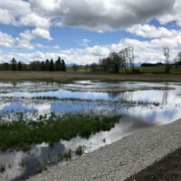 Das Aufstauen beginnt