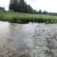 Nach langem Regen fließt das Wasser aus dem Baldaufweiher über die neu geschaffene Flutmulde ab. (c) Andreas Filke